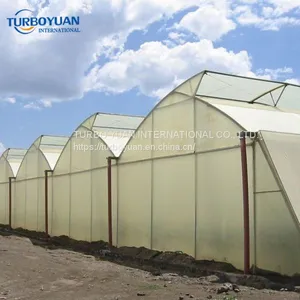 UV Protection Ldpe Plastic Film Tunnel Plastic Greenhouse Film for Agriculture thumbnail-5