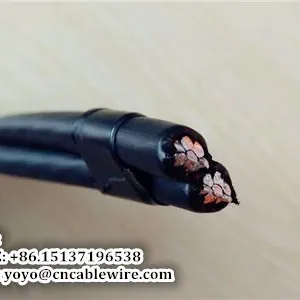 2 Core ABC Cable thumbnail-1