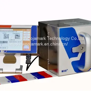 Hot Sale Intermittent Continuous W30+/W50+ TTO Coder/TTO Date Printer for Flow Packing Machine thumbnail-3