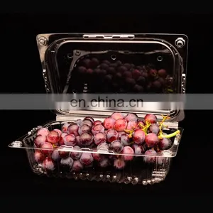 HAS VIDEO PS PP PET Disposable Plastic Food Container Machine thumbnail-1
