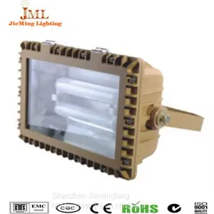 Outdoor Waterproof Explosion-proof Lights 30W 50W Anti-explosion Lamp 80W 60W Safety Lamp 100W 120W 135W thumbnail-4
