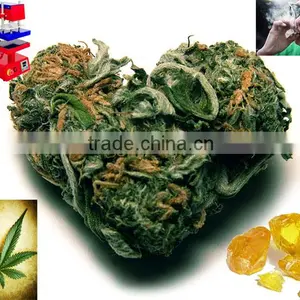 Small Size Hot Model Dual Heating Plate Rosin Press Machine thumbnail-3