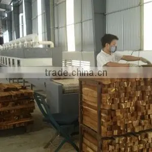 Automatic High Efficient Industrial Conveyor Belt Microwave Dryer thumbnail-2