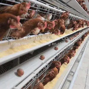 Battery Cage for Chicken Poultry Cage thumbnail-1
