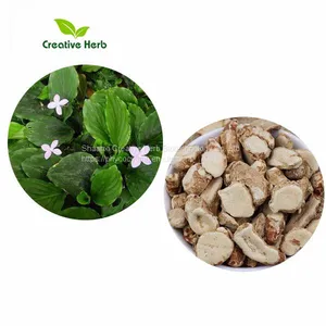 Free Sample Anti-inflammatory With Sophora Japonica Extract Kaempferol 30%,90%,98% thumbnail-1