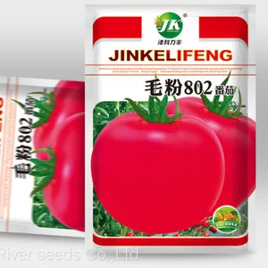 200pcs Bulk Agricultural Vegetable Seeds Supplier Garden Vegetables Hybrid Tomato Seeds for Planting thumbnail-2