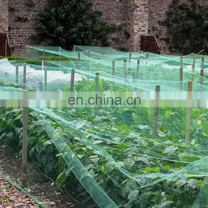Manufacture High Dene and Vegetable Protection Agricultural Greenhouses HDPE Anti Bird Nets for Garden Net thumbnail-2