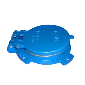 Manufacturers Supply Ductile Cast Iron Non Return Flap Valve Check Valve thumbnail-1