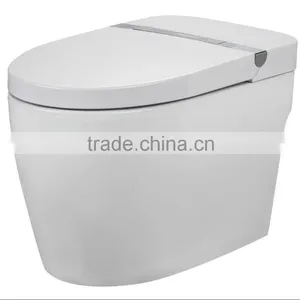 Automatic Toilet thumbnail-2