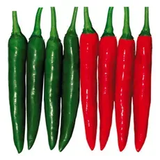 Hot Pepper Seed Hybrid F1 Hot Queen Seed for Sowing thumbnail-1