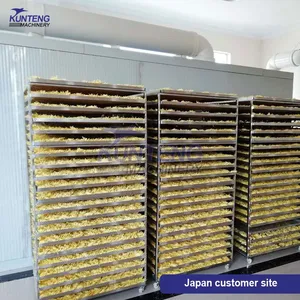 Industrial Drying Machine for Fruit Fig Okra Papaya Top Quality Food Vegetable Cauliflower Drying Machine EPC thumbnail-5