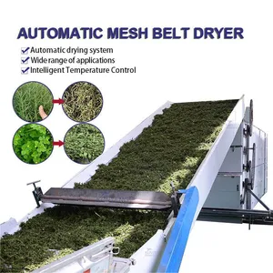 Automatic Mesh Belt Rosemary Dryer Machine Industrial Onion Garlic Vegetable Herb Dehydrator Drying Processing Plant Set EPC thumbnail-1