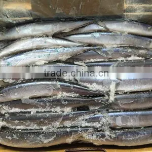 2015 Seafrozen Pacific Saury Whole Round 1#:120-140g/pc thumbnail-1