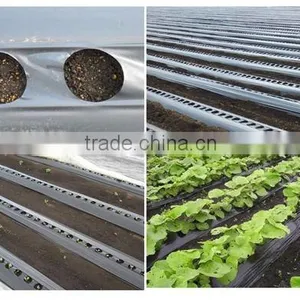 Non-woven Landscape Ground Cover Supplier thumbnail-3