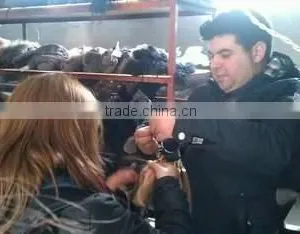 Qingdao Arison Hair Product Co., Ltd. company overview - view 1 thumbnail