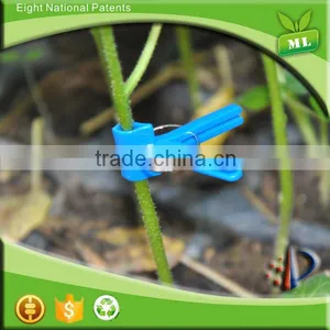 Best Selling Miao Le Tomato Plant Omega Grafting Tool thumbnail-1