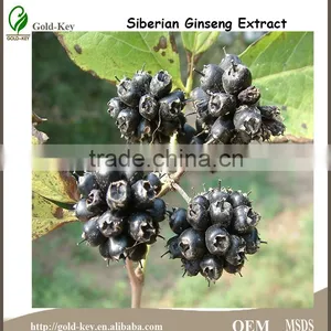 100% Natural Siberian Ginseng Extract,Siberian Ginseng Extract 0.8%/1.2% Eleutheroside B+E,0.8%/1.2% Eleutheroside B+E' thumbnail-3