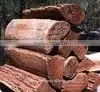 Firewood for Ovens ,Cafeteria , Restaurants, Roof Top Restaurant thumbnail-1