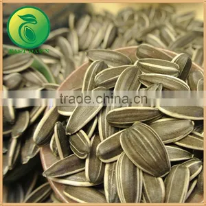 Export Sunflower Seeds With Good Price thumbnail-3