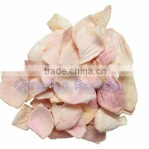 Low Temperature Vacuum Fried Onion Slices thumbnail-1