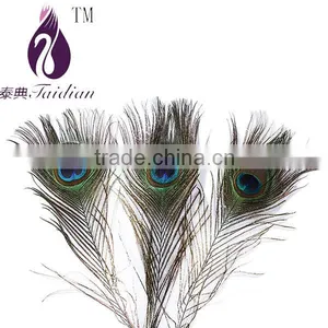 Natural Peacock Feathers,plume Feathers for Decoration thumbnail-1