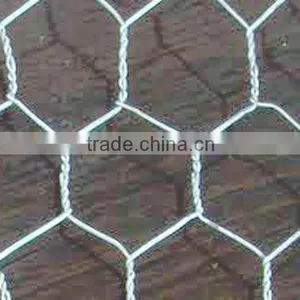 Green/ Black Pvc Coated Lowest Price Chicken Wire Mesh thumbnail-4