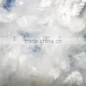 Polyester Staple Fiber thumbnail-1