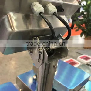 Weighing Indicator With IP68 Waterproof Certifacition thumbnail-3