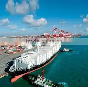 International Freight Forwarder to Adelaide,australia From Shenzhen China thumbnail-1