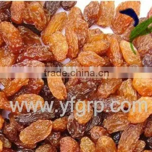 AAA Grade Zante Currant--HOT thumbnail-1