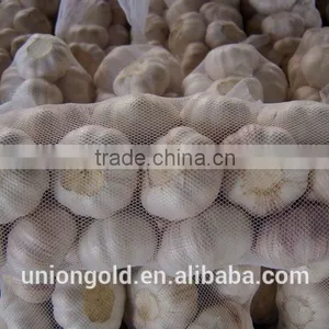 2016 New Crop Natural White Garlic in Purple Mesh Bag thumbnail-3