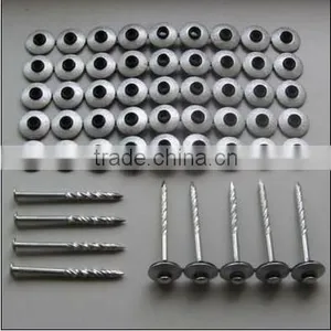 Common Nails With Good Quality thumbnail-3