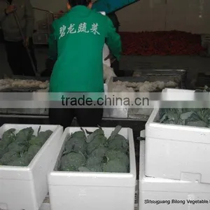 2012 New Crop Fresh Broccoli thumbnail-1