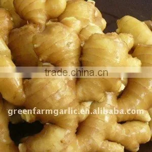 Fresh Ginger,Yellow Ginger thumbnail-1