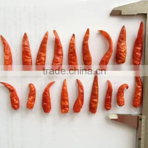 Dried Chilli thumbnail-2
