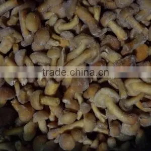 2016 Hot Selling Dried Mushroom With Reasonable Price and Fast Delivery thumbnail-6