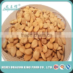 Hot Selling Apricot Kernels With Low Price/Grade A Apricot Kernels With or Without Skin thumbnail-1