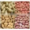 High Quality Peeling Peanut Shell Machine/peanut Cleaner and Sheller/high Quality Peanut Sheller thumbnail-6
