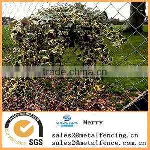 Hot Sale Galvanized or Pvc Coated Chain Link Rhombus Wire Mesh Fence thumbnail-4