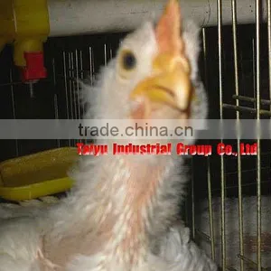 TAIYU-105 Battery Breeding Cage thumbnail-1