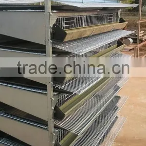 Pvc Coating Wire Mesh Layer Quail Cages for Sale (ISO9001 Factory) thumbnail-5