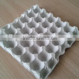 Molded Pulp Paper Egg Tray thumbnail-1