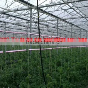 Vanq 110V Double-side Emitting 75W LED Grow Light Bar for Tomato thumbnail-2