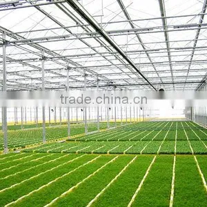 Baolida Low Cost High Performance Polycarbonate Greenhouse thumbnail-1
