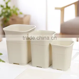 Plastic Tall Fleshiness Square Flower Pot thumbnail-1