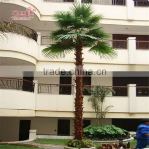 SJ2017200009 Hot Sale Outdoor Decorative Fake Washington Plastic Date Palm Tree thumbnail-1