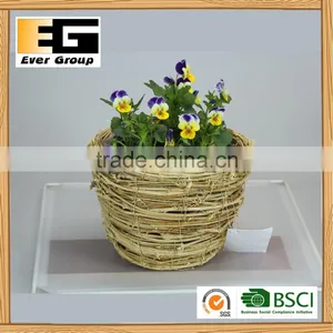Natural Rattan Coffee Cup Shape Garden Planter Flower Pot thumbnail-4