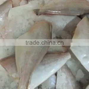 Frozen Leatherjacket Fish HGT thumbnail-3