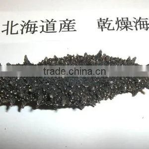 Dried Sea Cucumber From Hokkaido Japan thumbnail-1