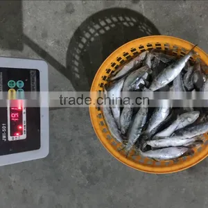High Quality Machine Grade Canned Sardines Manufacturers With Cheapest Price thumbnail-1